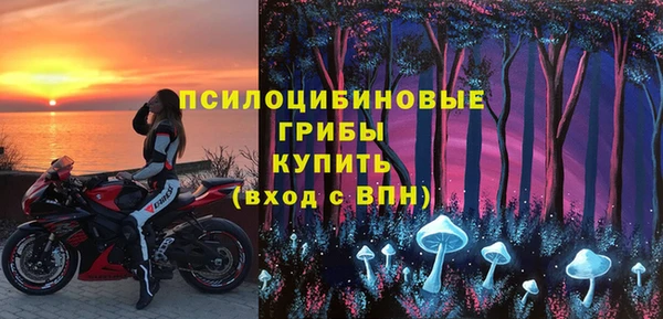 мдма Белокуриха