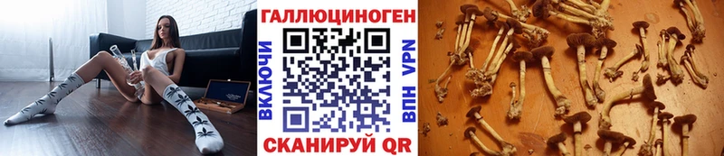 Псилоцибиновые грибы Magic Shrooms  маркетплейс состав  Ленск  купить наркотики цена 